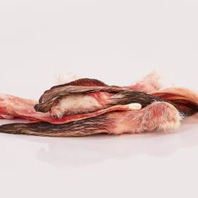 Uszy królicze (worek vacum pakowane po 8szt waga 0,16-0,18 kg)